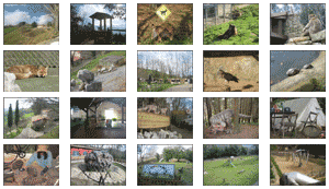 Acceder a la galería fotográfica galería fotográfica