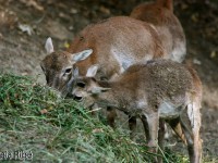 5536556835_3471c32d45_b