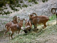 5536557081_84a0ed9983_b