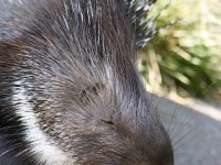 5537131734_fd6612530c_b