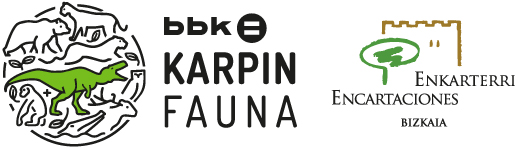 Logo karpin enkar small