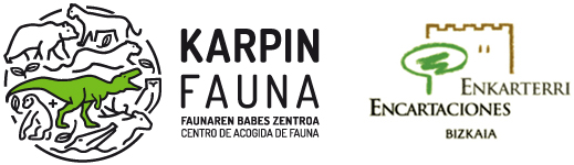 Logo karpin enkar small