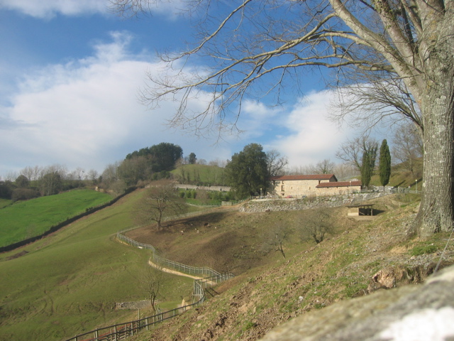 Animalia eremuaren ikuspegi orokorra